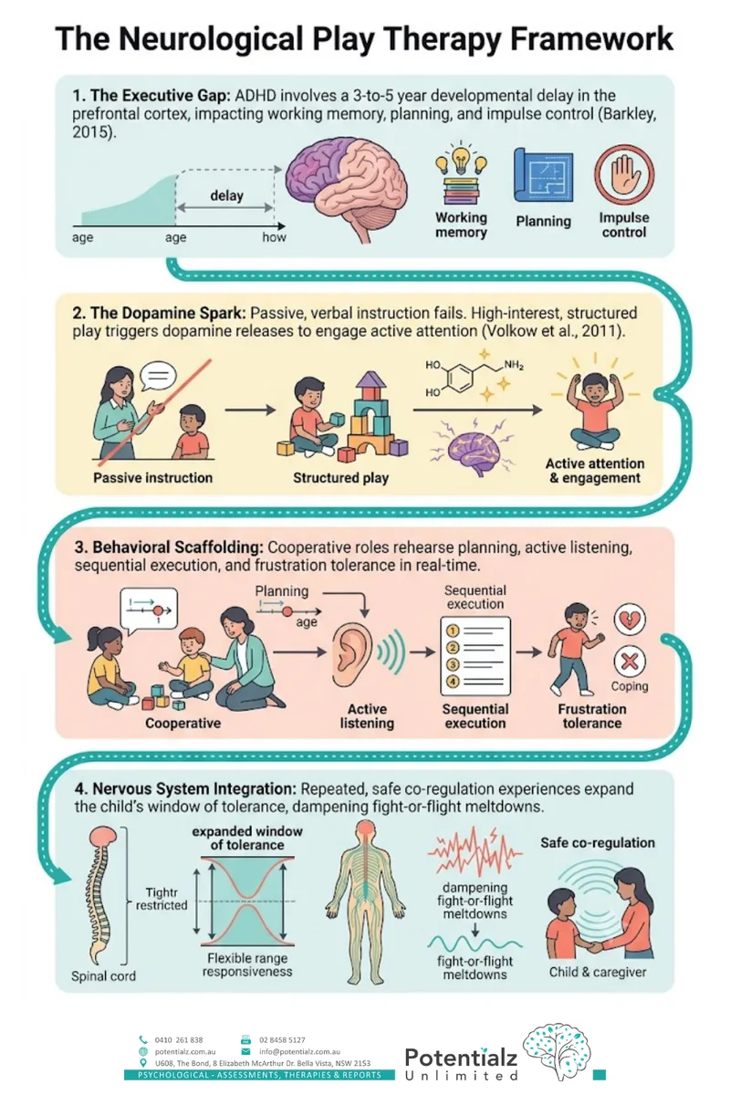 The neurological play therapy framework — the executive gap, the dopamine spark, behavioural scaffolding, and nervous-system integration