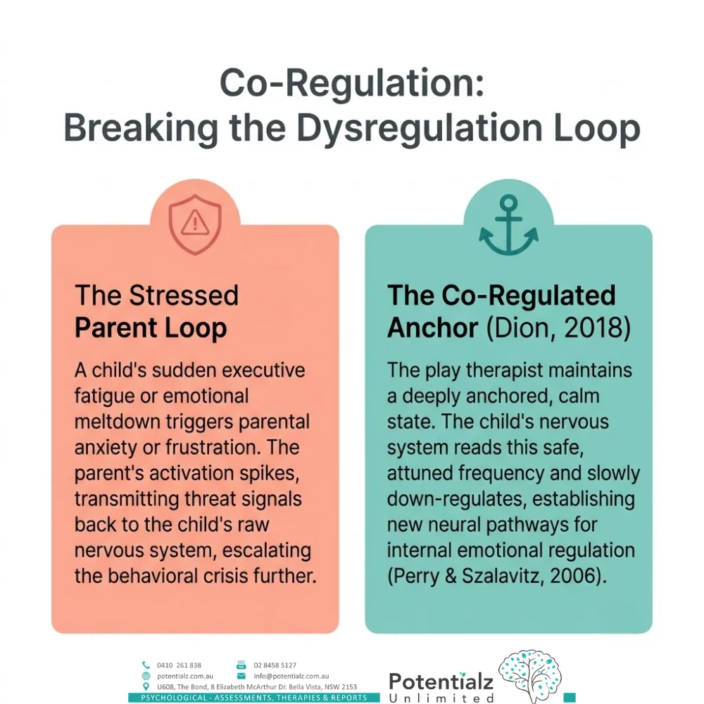 Co-regulation — breaking the dysregulation loop between a stressed parent and a calm, co-regulated therapist