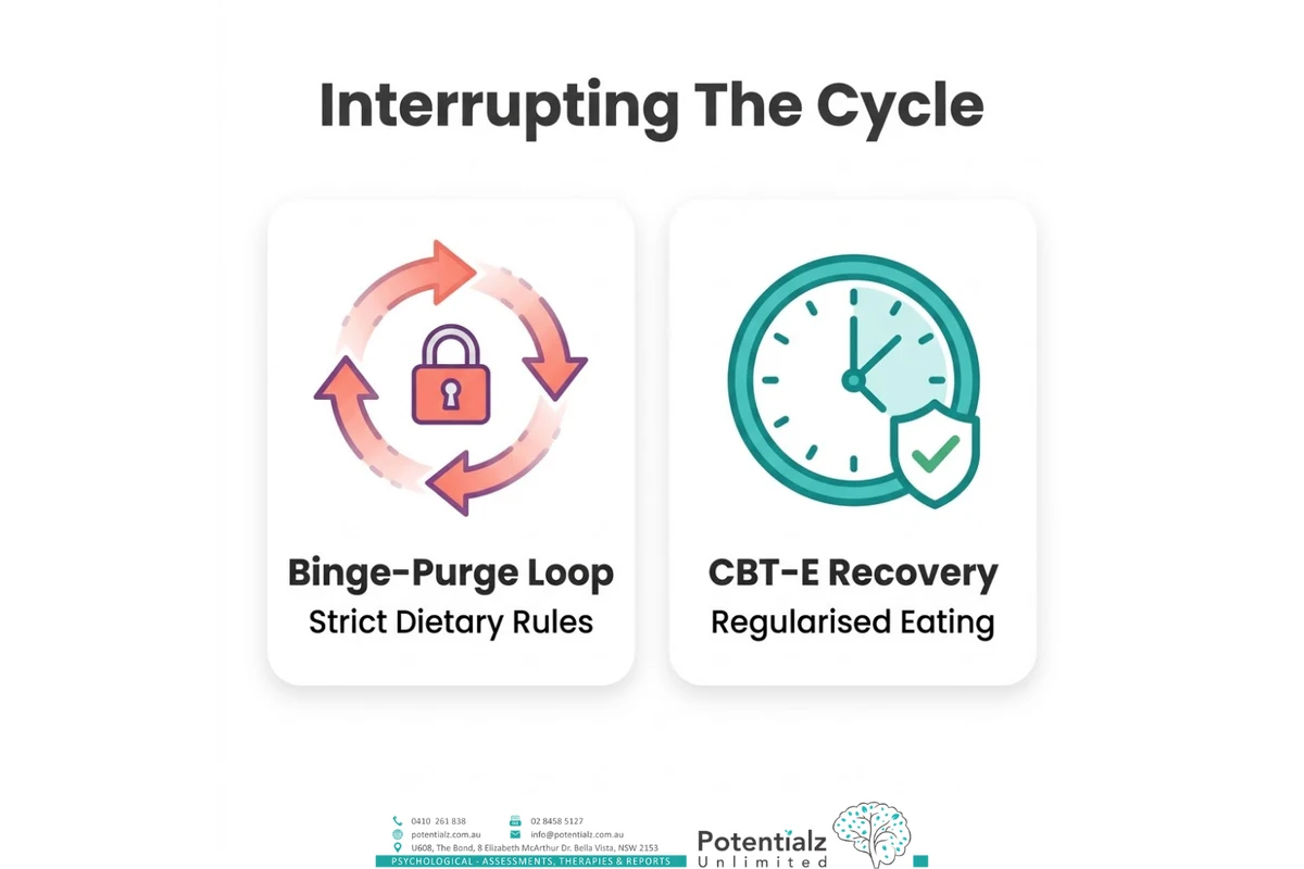 Two-panel infographic on interrupting the bulimia cycle — the binge-purge loop driven by strict dietary rules on one side, and CBT-E recovery through regularised eating on the other.