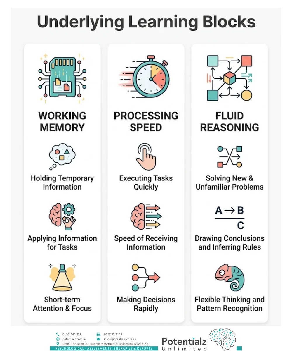 Three-column infographic on the underlying learning blocks that cognitive assessment uncovers: working memory (holding temporary information, applying it, short-term attention), processing speed (executing quickly, receiving information, making rapid decisions), and fluid reasoning (solving new problems, drawing conclusions, flexible pattern recognition).