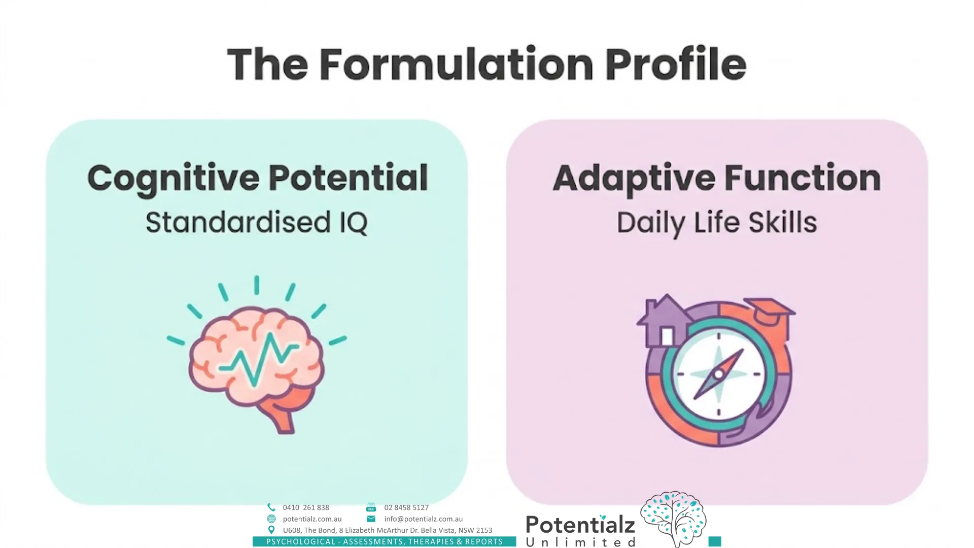 Two-panel infographic of the formulation profile: cognitive potential (standardised IQ) alongside adaptive function (daily-life skills).