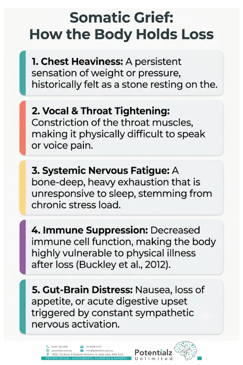 Somatic grief — how the body holds loss: chest heaviness, throat tightening, nervous fatigue, immune changes, and gut-brain distress