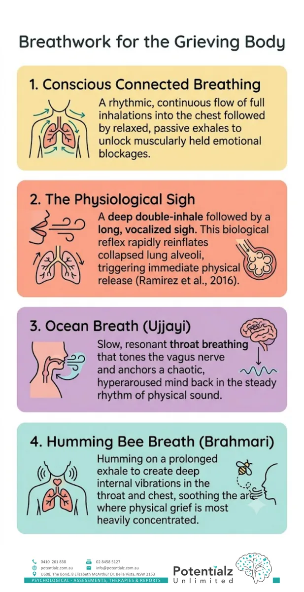 Breathwork for the grieving body — conscious connected breathing, the physiological sigh, ocean breath, and humming bee breath