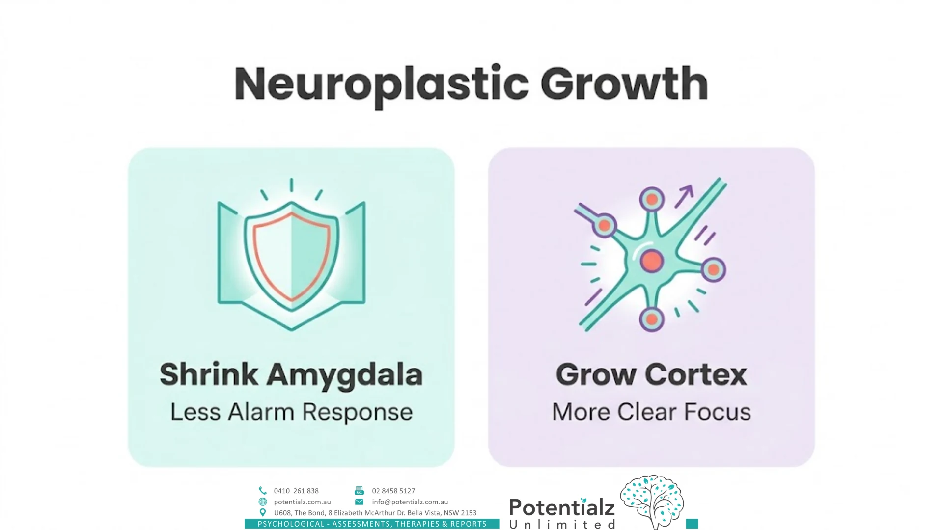 Two-panel infographic on neuroplastic growth from contemplative practice — a shrinking amygdala (less alarm response) paired with a growing cortex (more clear focus).