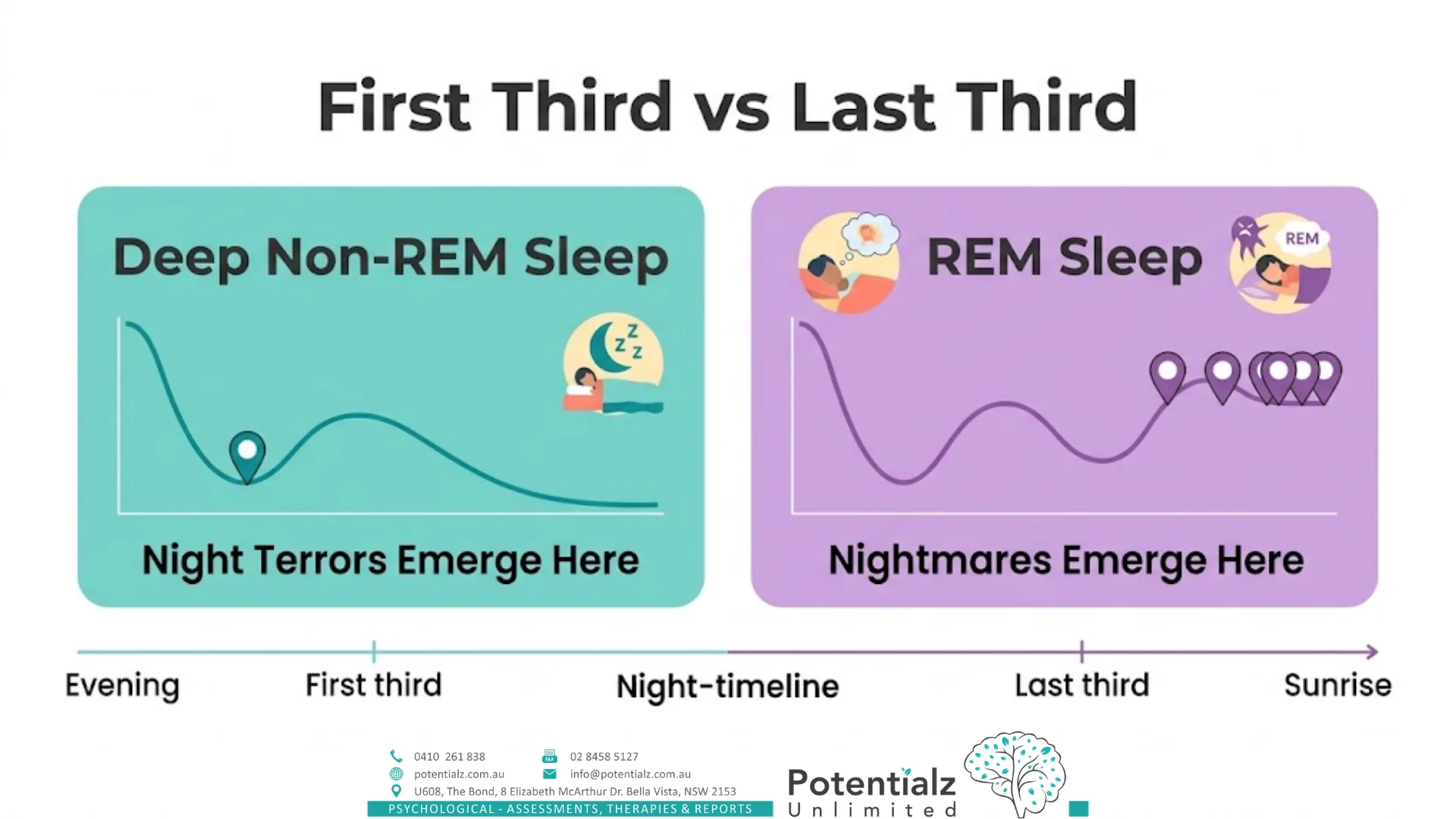 Diagram contrasting deep non-REM sleep in the first third of the night, when night terrors emerge, with REM sleep in the last third, when nightmares occur