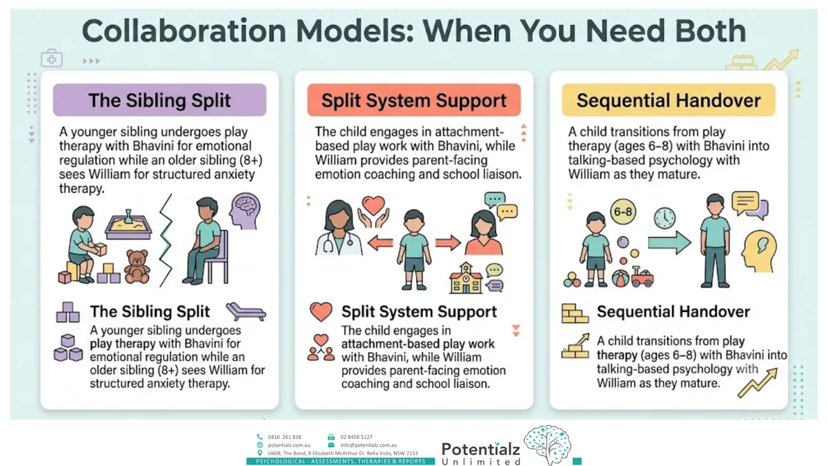 Collaboration models — the sibling split, split-system support, and sequential handover between clinicians