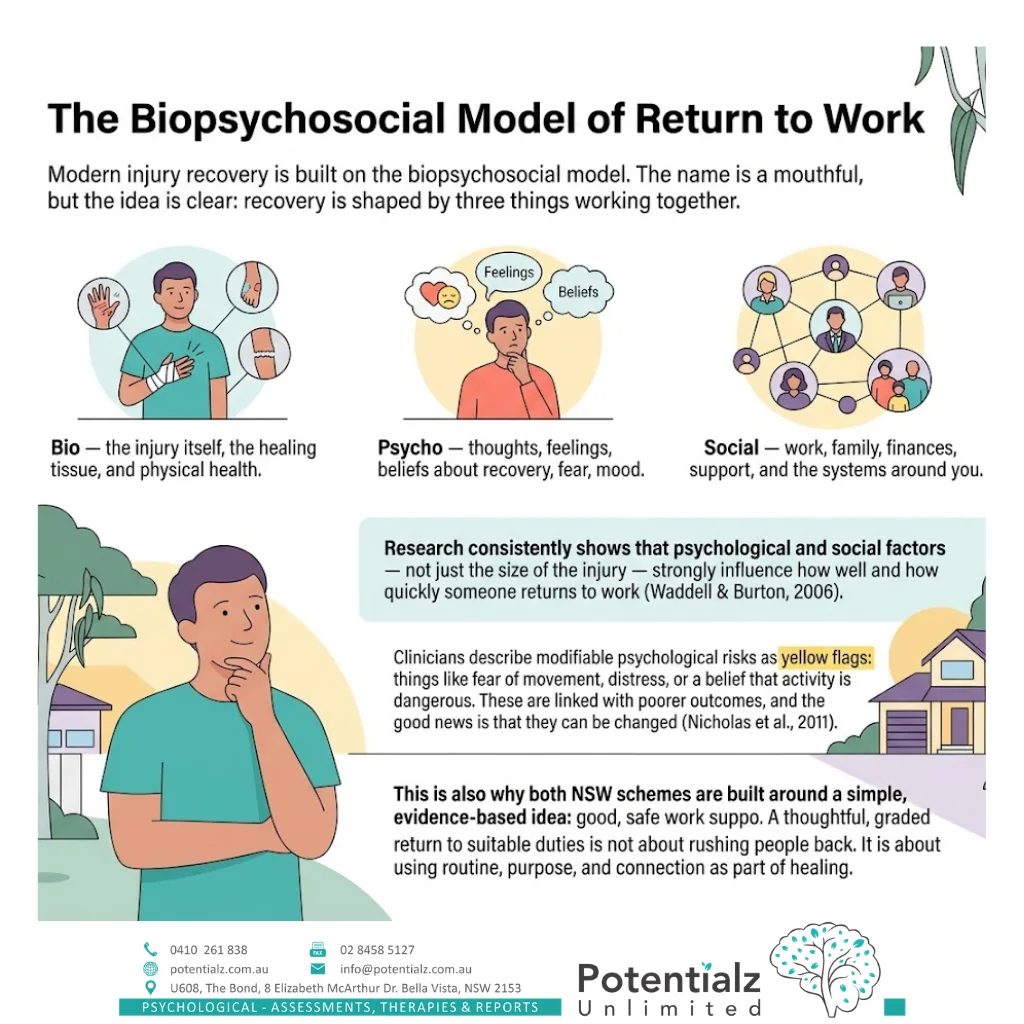 انفوگرافک: کام پر واپسی کا biopsychosocial ماڈل — حیاتیاتی، نفسیاتی، اور سماجی عوامل، اور نفسیاتی عوامل کام پر واپسی کی پیش گوئی کیوں کرتے ہیں