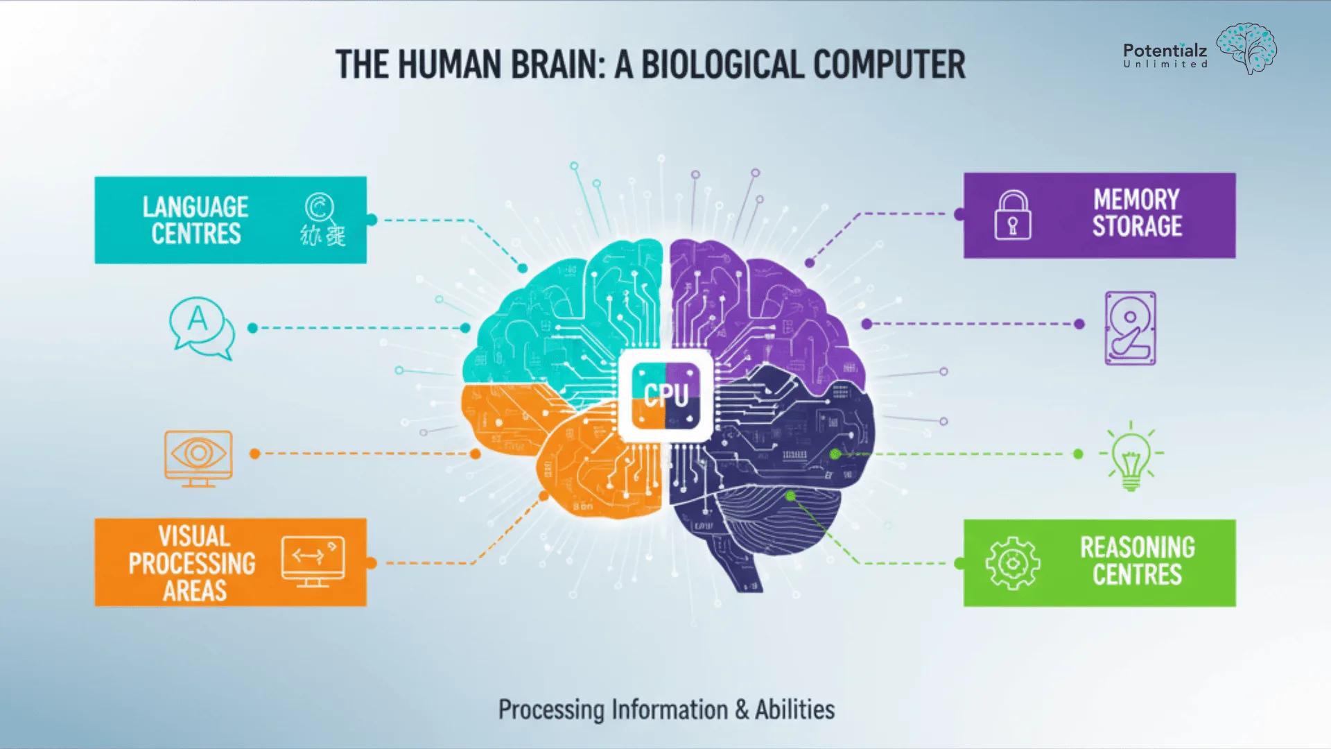 Illustration comparing the human brain to a biological computer, highlighting its various functional areas such as language centers, memory storage, visual processing, and reasoning centers, each illustrated with circuit-like patterns.