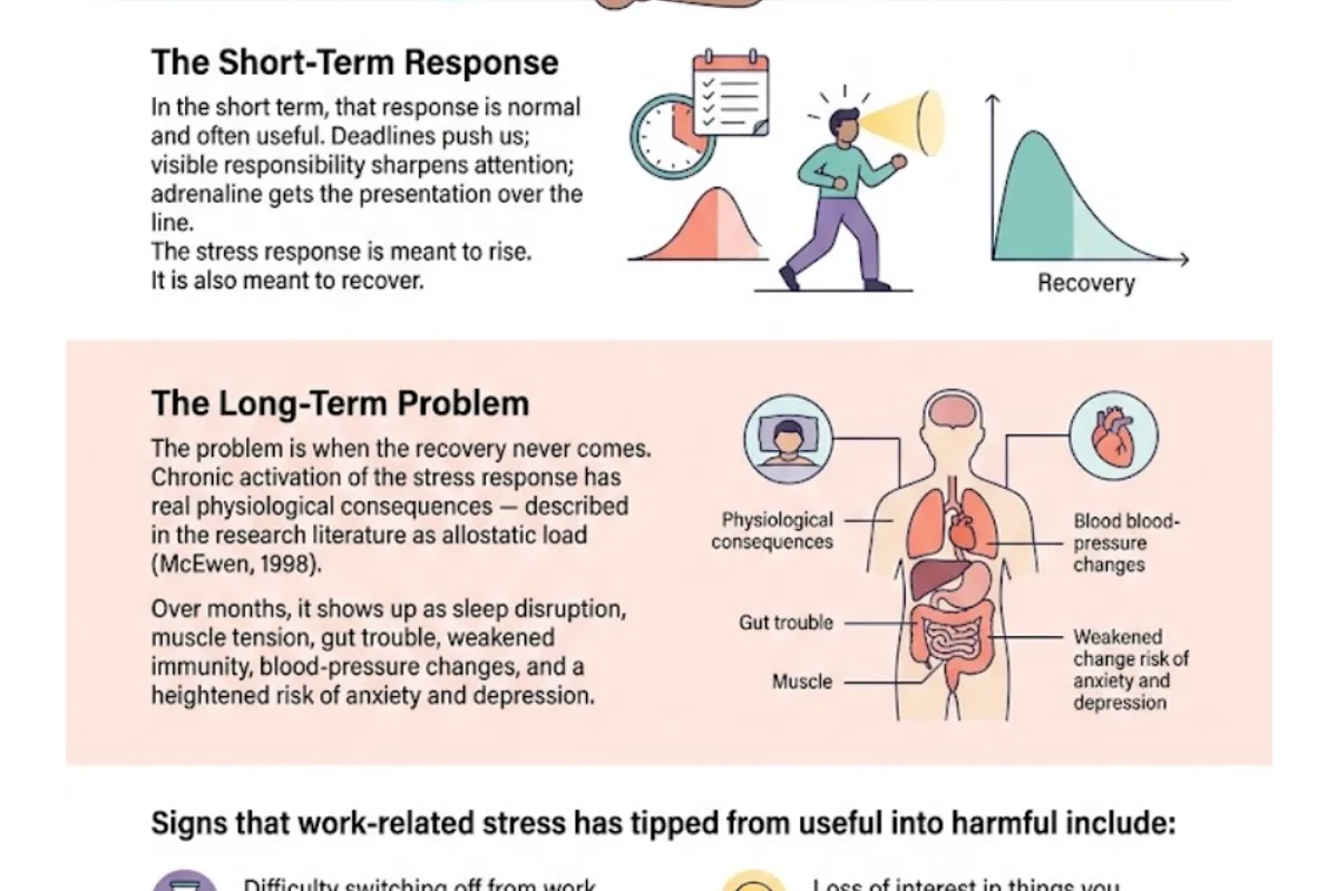 Infographic: work-related stress is a response to demands that outstrip your resources; short-term useful, but chronic activation produces allostatic load (McEwen, 1998) — sleep, gut, immunity, cardiovascular strain