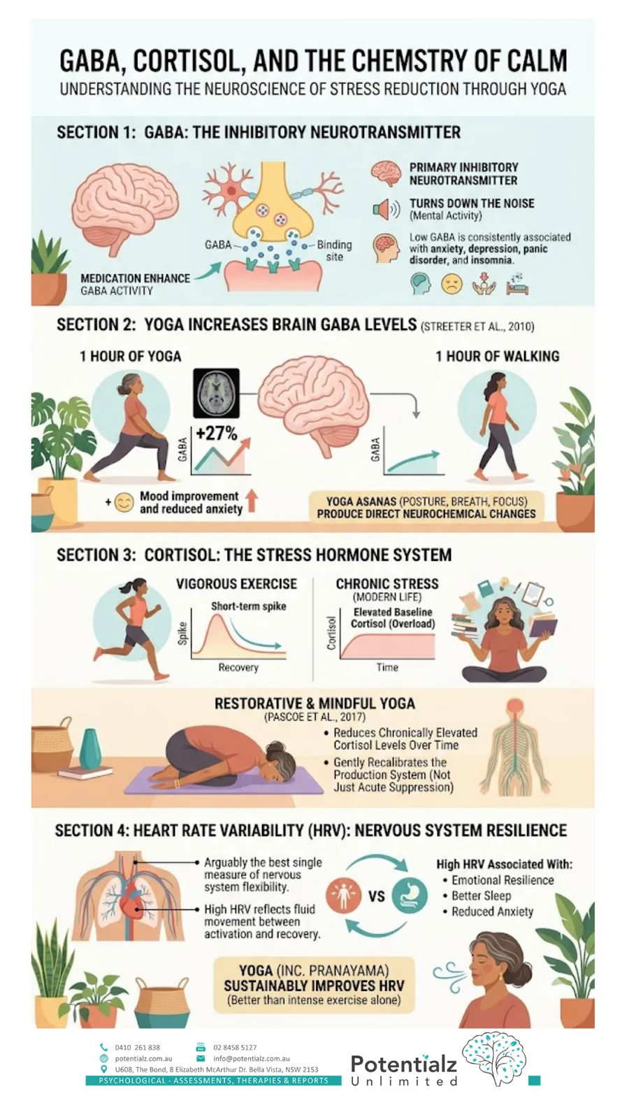 GABA, cortisol and HRV infographic — the neuroscience of how yoga reduces stress, including the 27% GABA increase and improved heart rate variability