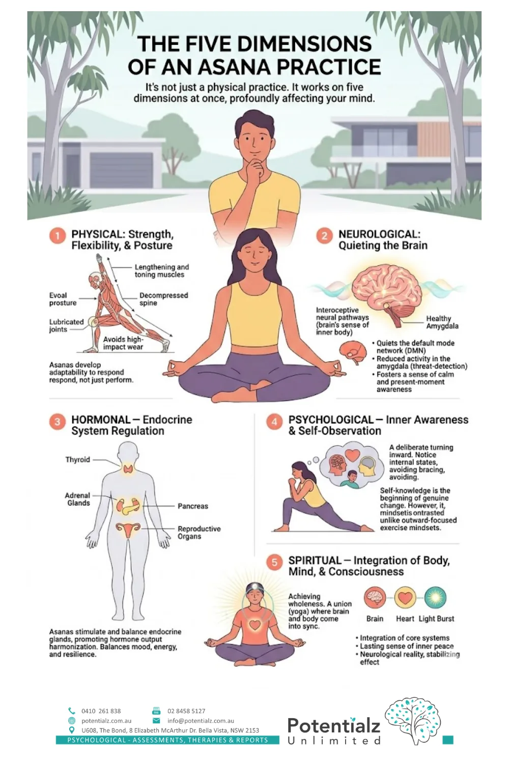 The five dimensions of an asana practice infographic — physical, neurological, hormonal, psychological, and spiritual effects of yoga